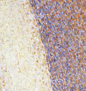 Georges Seurat Detail of Dance oil on canvas